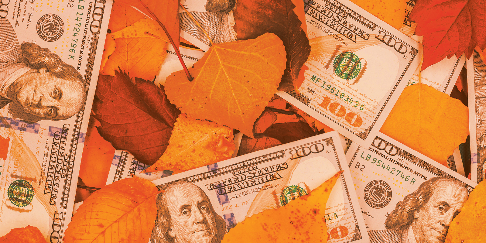 $100,000 Guaranteed Fall Cash-Out Orange City FL